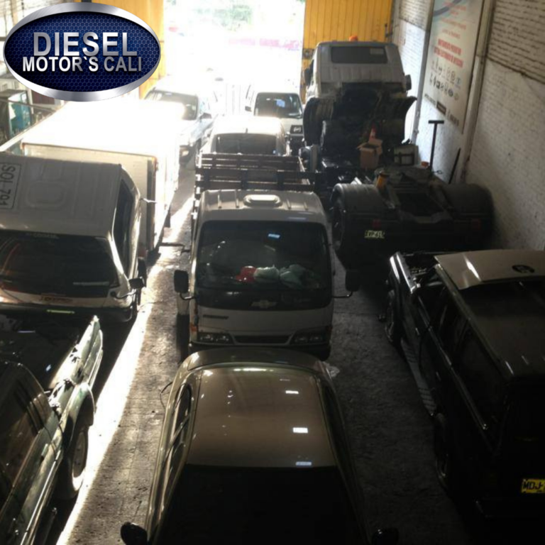 Diseño sin título (55)